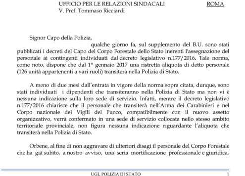 lettera forestale small