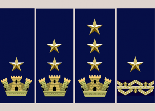 dirigenti