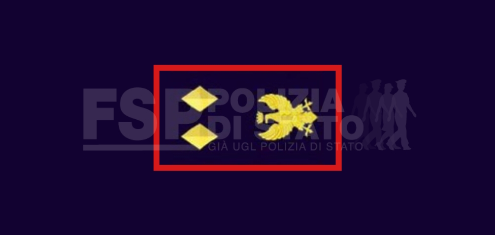 vice sovrintendenti