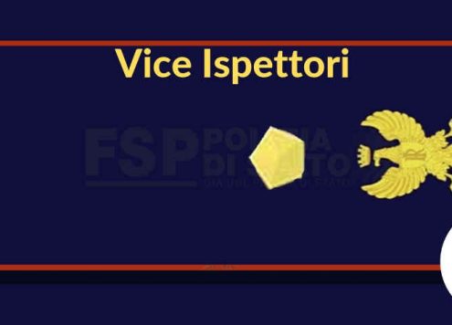 vice ispettori polizia